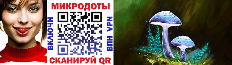 Псилоцибиновые грибы ЛСД  купить   Петрозаводск 